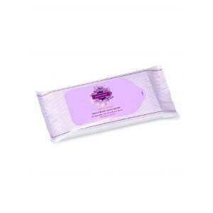   Bacterial Sanitizing Hand Wipes (20 Wipes   6 inch x 5.5 inch) Beauty