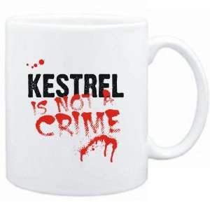    Being a  Kestrel is not a crime  Animals