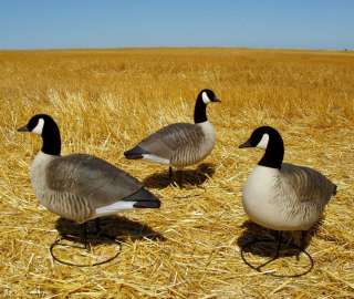 AVERY GHG PRO LESSER CANADA GOOSE ACTIVE DECOYS NEW 700905711758 
