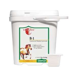  Vitamin B 1 for Horses by Vita Flex Nutrition