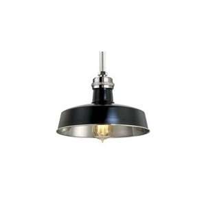   Hudson Falls Pendant by Hudson Valley Lighting 8610