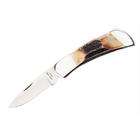 stag pen knife bear son 2 blade genuine india stag pen knife