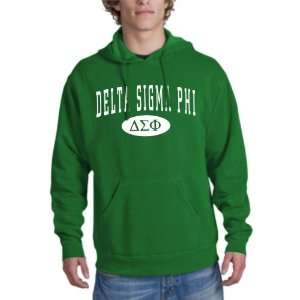 Delta Sigma Phi arch hoodie