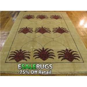  6 5 x 9 3 Ziegler Hand Knotted Oriental rug