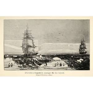   Penguin Ocean French Navy   Original Halftone Print