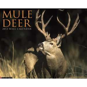  Mule Deer 2013 Wall Calendar