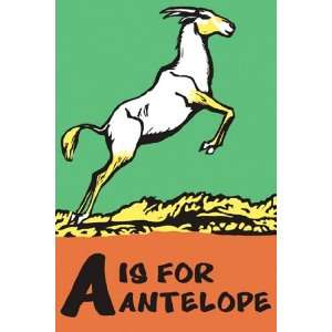  A is for Antelope by C. B. Falls 12x18