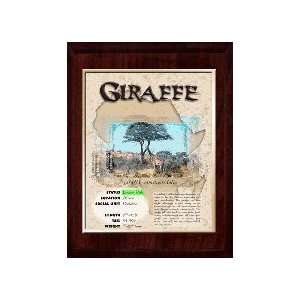  Africa (Giraffe) Animal Planet Products 10 x 13 Plaque 