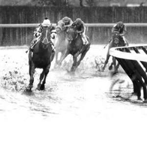  Seattle Slew at Aqueduct
