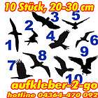 10 Vogel Aufkleber Schutz Wintergarten, Scheibe Vogel, 