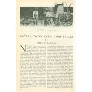  1913 Cattle Dipping Preventing Cattle Diseases Texas 