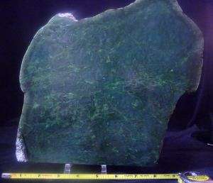 GOE Bright Nephrite Green BC Jade X Large  