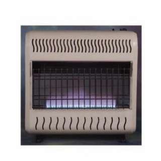 Blue Flame Heater from Emberglow     Model BHW30NLTB