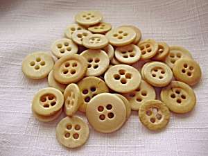 la difference vintage bone buttons the buttons all have 4 holes