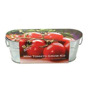 Buzzy Mini Tomato Windowsill Grow Kit 94887  