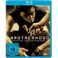 Brotherhood   Bruderschaft   Bis dass der Tod uns scheidet [Blu ray 