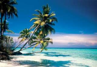Für Maldives   Palm Beach haben wir passende Rahmen im Angebot