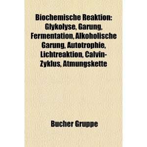 Biochemische Reaktion Glykolyse, Gärung, Fermentation, Alkoholische 