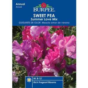 Burpee Sweet Pea Summer Love Mix Seed 40398 