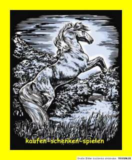 Kratzbild Kratzbilder steigendes Pferd Silber Neu 5013634010333  