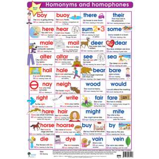 Homonyms & Homophones Poster Teaching Resources 981353  