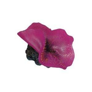  Sea Garden Elphnt Ear Purple Aquarium Decor