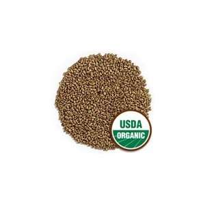 Certified Organic Alfalfa Sprout Seed  1 Lb  Seeds For Salad Sprouts 