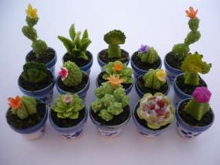 Set of 15 Cactus Plant in Ceramic Pots Dollhouse Miniatures Deco 