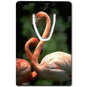  Pink Flamingos Bookmark Great Unique Gift Idea Everything 