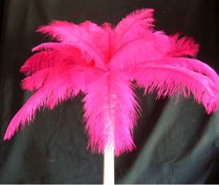 24 WHITE Towers 400 HOT PINK Feathers Tops Lights  