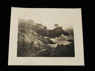   LEOPOLD HUGO PICTORIALIST LONE CYPRESS TREE PHOTOGRAPH 20S  