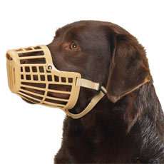 Dog Basket Muzzle Adjustable XX SMALL XXS BEIGE Muzzles  