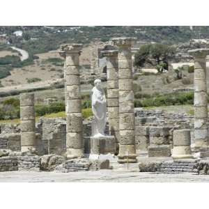  Ruins of Roman Town of Baelo Claudia, Bolonia, Costa De La 