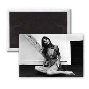  Jane Birkin   3x2 inch Fridge Magnet   large magnetic 