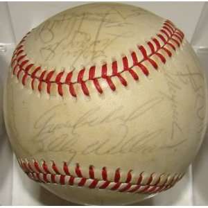 1987 Cubs Team 26 SIGNED MLB Baseball STARS   Autographed Baseballs