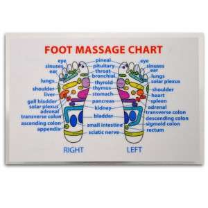 REFLEXOLOGY FOOT MASSAGE WALLET SIZE REFERENCE CARD Chart Pocket 