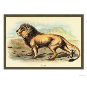   Lion Giclee Poster Print by Sir William Jardine, 16x12
