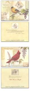 Song Birds Sandy Clough Get Well Cards Box of 12  