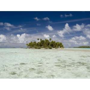  Sharks, Blue Lagoon, Rangiroa, Tuamotu Archipelago, French 