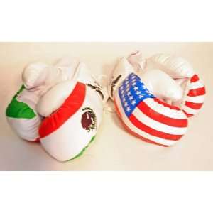   Pair 4oz Youth Boxing Gloves USA and Mexico Flags