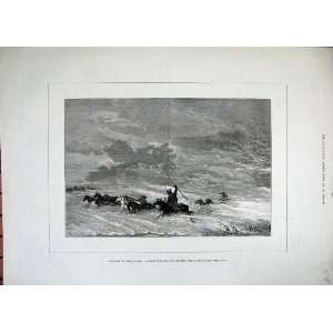  1882 Asia Horse Herd Shelter Snow Storm Weather Art
