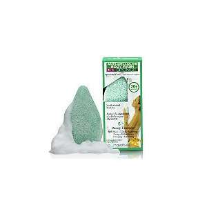  Spongeables Anti Cellulite Orchid (Quantity of 4) Beauty
