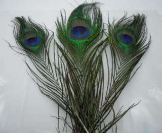 20pcs natural peacock tail feathers,about 26 30cm  