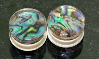  10mm) genuine abalone shell set in clear double flare ear plugs  