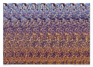 Dragon 18x13 3D Stereogram Poster Hidden 3D illusion  