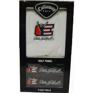 Dale Earnhardt NASCAR Team Logod Golf Balls (6) and Embroidered 