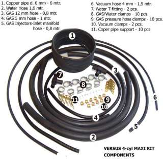 Cylinder Propane Conversion Kit for Fuel Injected Vehicles Car Truck 
