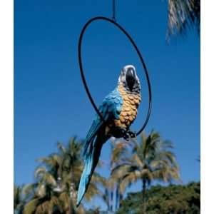    Polly in Paradise Parrot Sculpture on Ring Perch