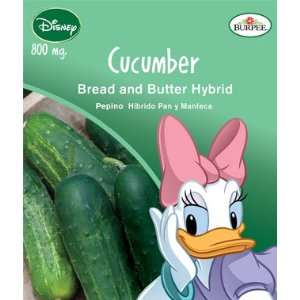  Disney Mickey, Cucumber, Bread and Butter Hybrid 1 Pkt 