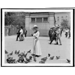  Feeding the pigeons,Boston Common